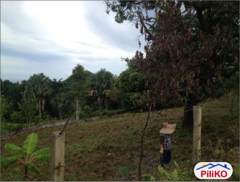 2 bedroom House and Lot for sale in Cebu City - image 2
