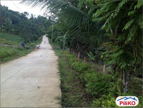 2 bedroom House and Lot for sale in Cebu City in Cebu