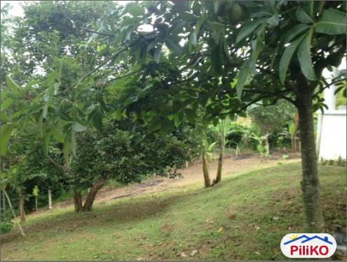 2 bedroom House and Lot for sale in Cebu City in Philippines