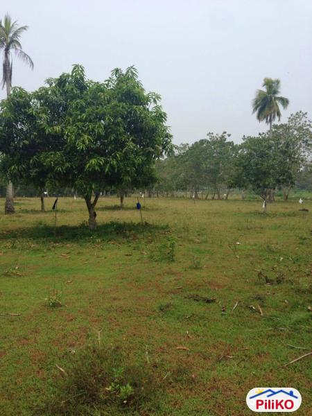 Picture of Residential Lot for sale in Lazi