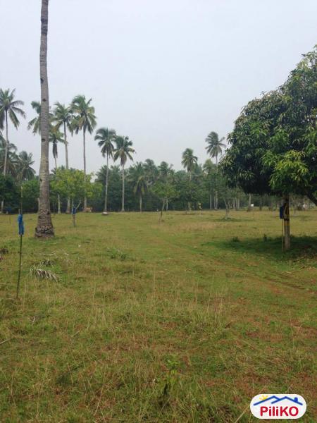 Residential Lot for sale in Lazi - image 2