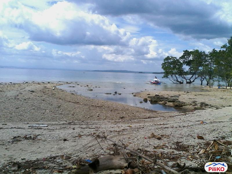 Residential Lot for sale in Lazi in Siquijor