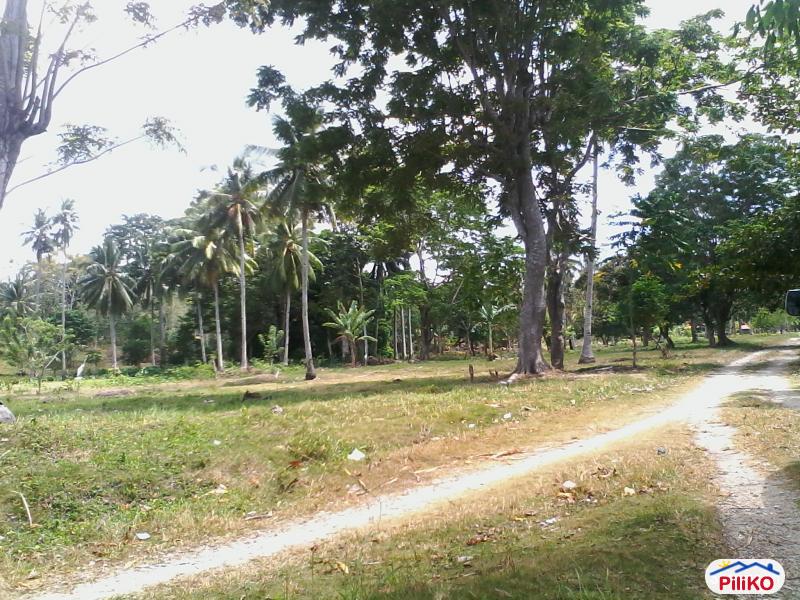 Other lots for sale in Lazi in Philippines