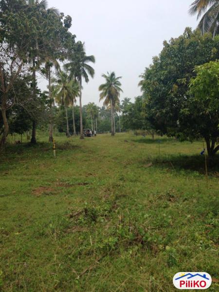 Residential Lot for sale in Lazi - image 4