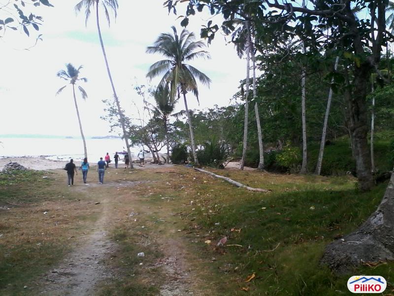 Picture of Residential Lot for sale in Lazi in Siquijor