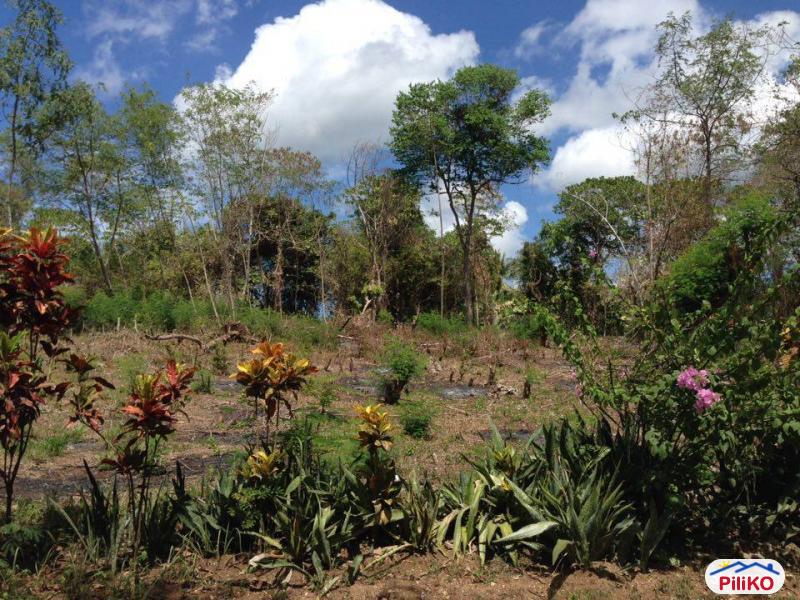 Picture of Commercial Lot for sale in Lazi in Siquijor