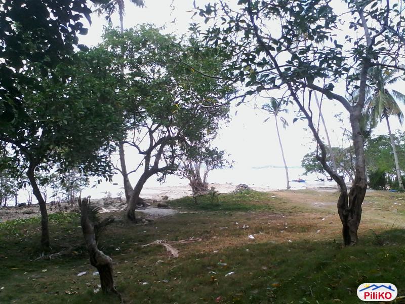 Residential Lot for sale in Lazi - image 6