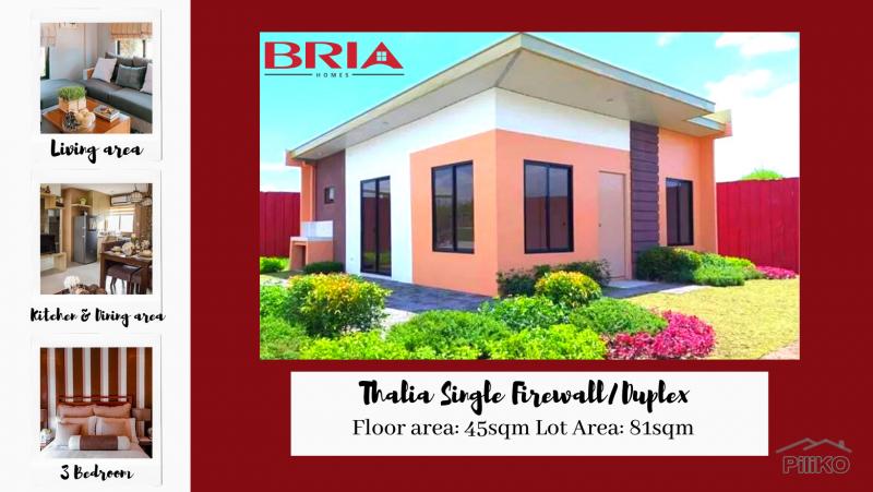 Pictures of 3 bedroom House and Lot for sale in Iriga
