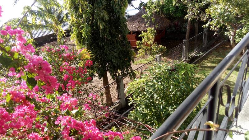 2 bedroom House and Lot for sale in Dumaguete in Philippines - image