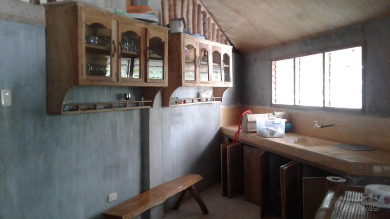 2 bedroom House and Lot for sale in Lazi - image 15