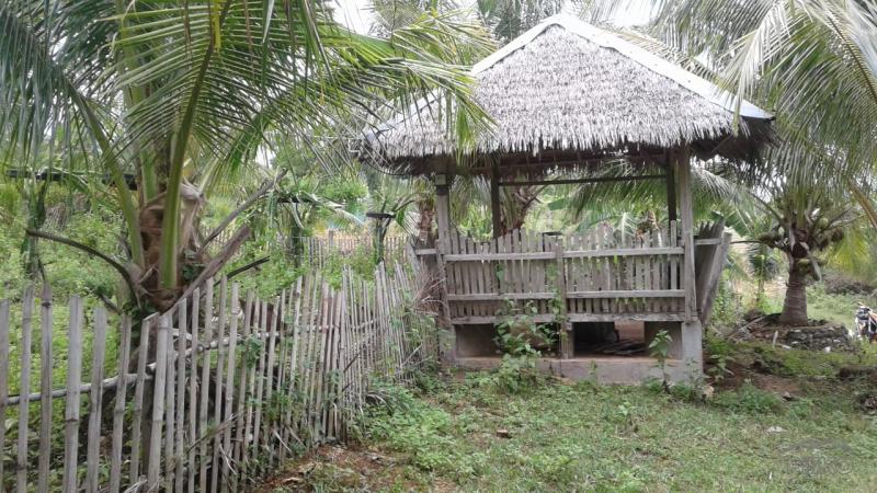 Picture of 2 bedroom House and Lot for sale in Lazi in Philippines