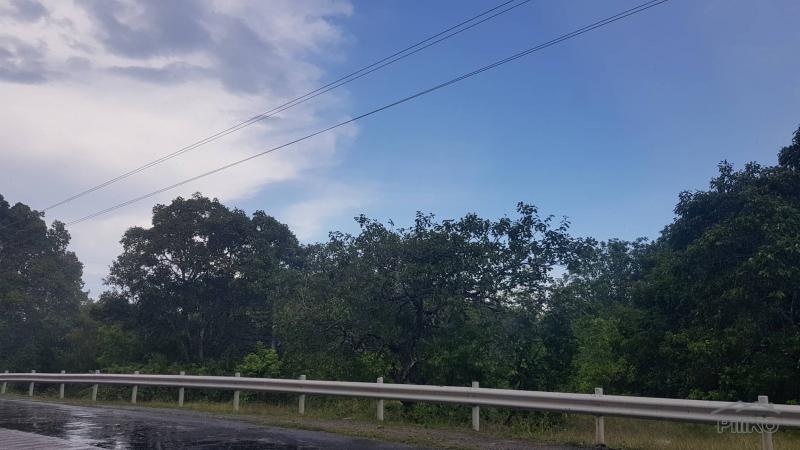 Picture of Residential Lot for sale in Maria