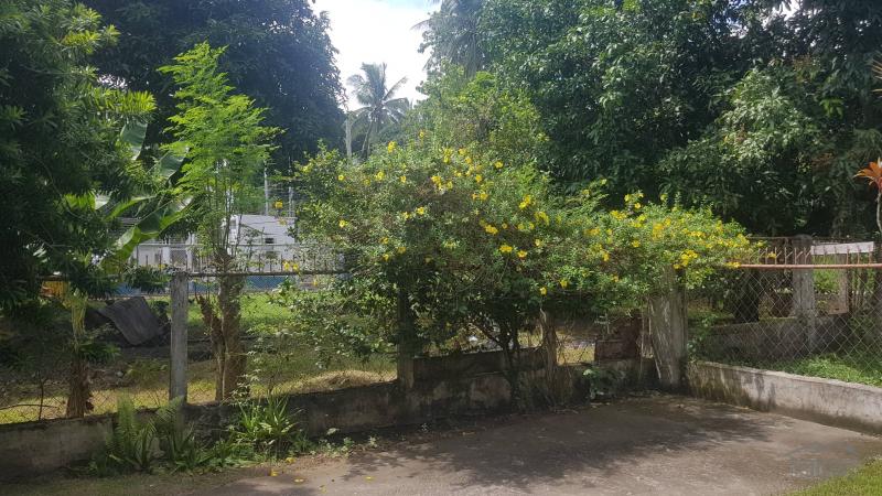 2 bedroom House and Lot for sale in Dumaguete - image 15