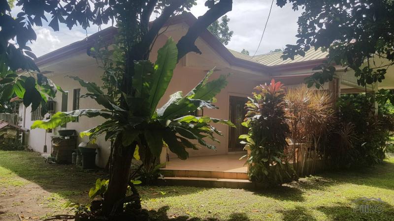 2 bedroom House and Lot for sale in Dumaguete - image 16