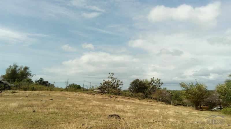 Residential Lot for sale in Dumaguete - image 11