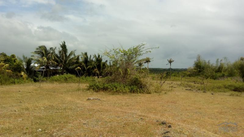 Residential Lot for sale in Dumaguete - image 12