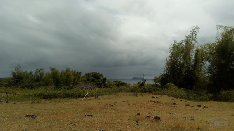Residential Lot for sale in Dumaguete - image 13