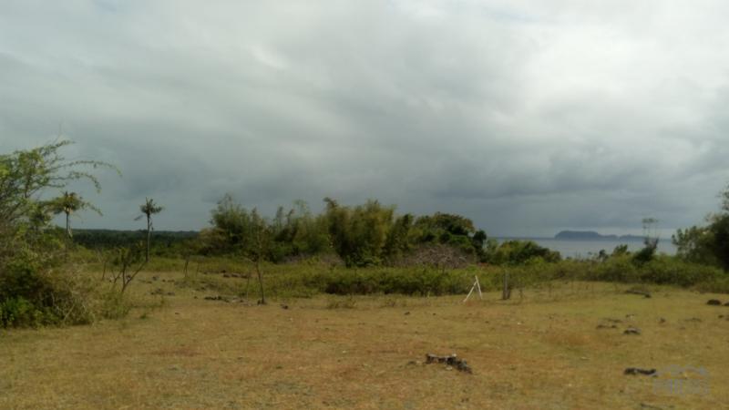 Residential Lot for sale in Dumaguete - image 14