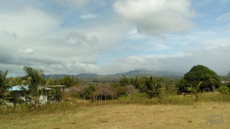 Residential Lot for sale in Dumaguete - image 4
