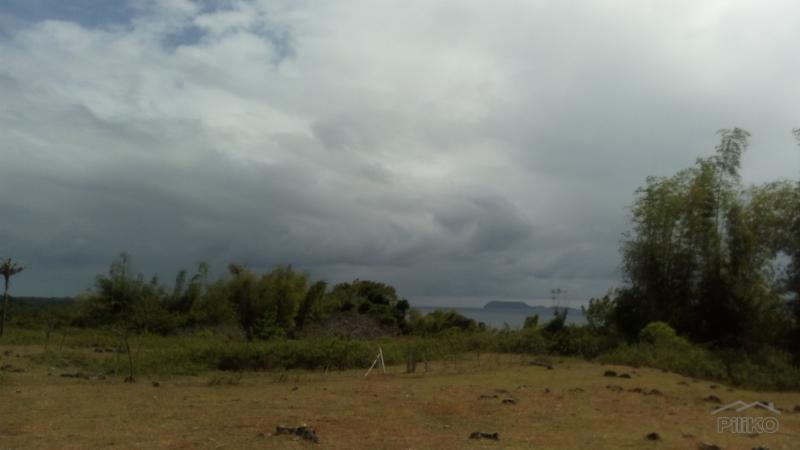 Residential Lot for sale in Dumaguete in Philippines - image