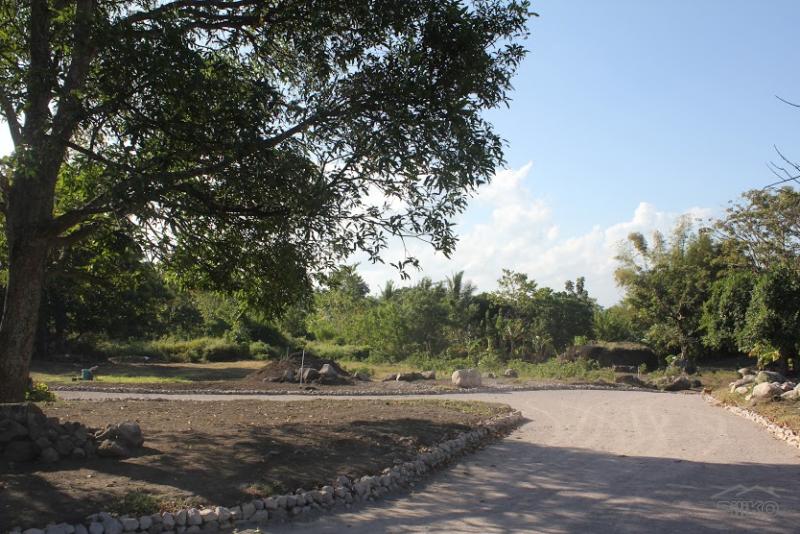 Residential Lot for sale in Dumaguete - image 10