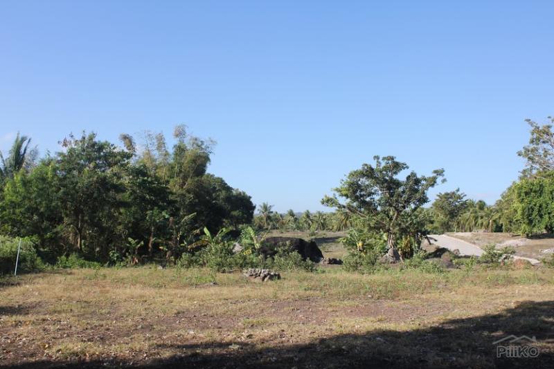 Residential Lot for sale in Dumaguete - image 12