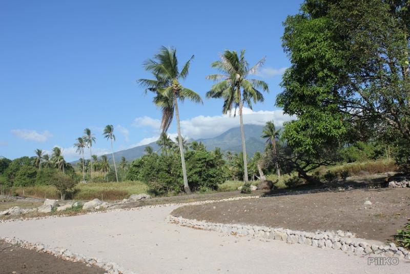 Residential Lot for sale in Dumaguete in Philippines - image
