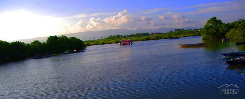 Resort Property for sale in Cordova - image 12
