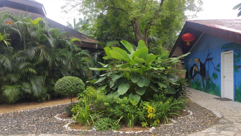 Resort Property for sale in Cordova - image 9