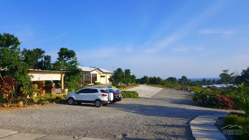 Resort Property for sale in Tagbilaran City in Philippines - image