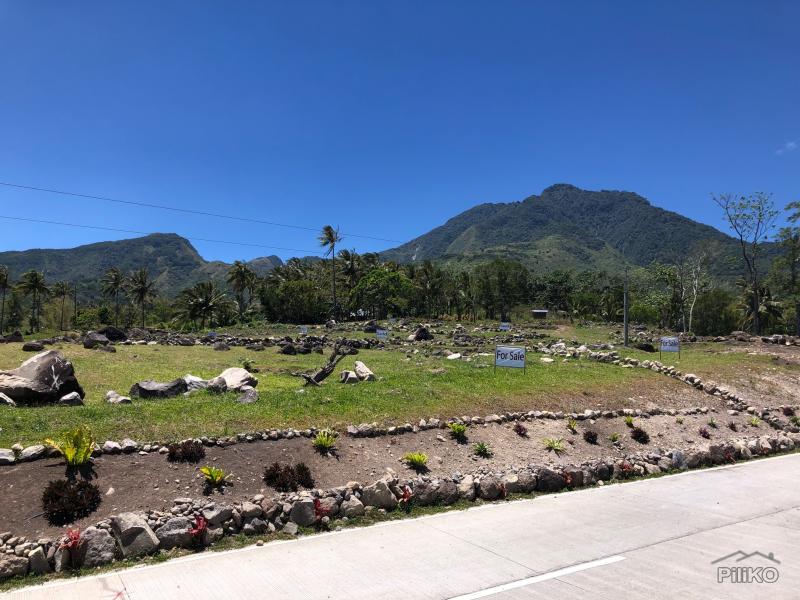 Picture of Residential Lot for sale in Dumaguete