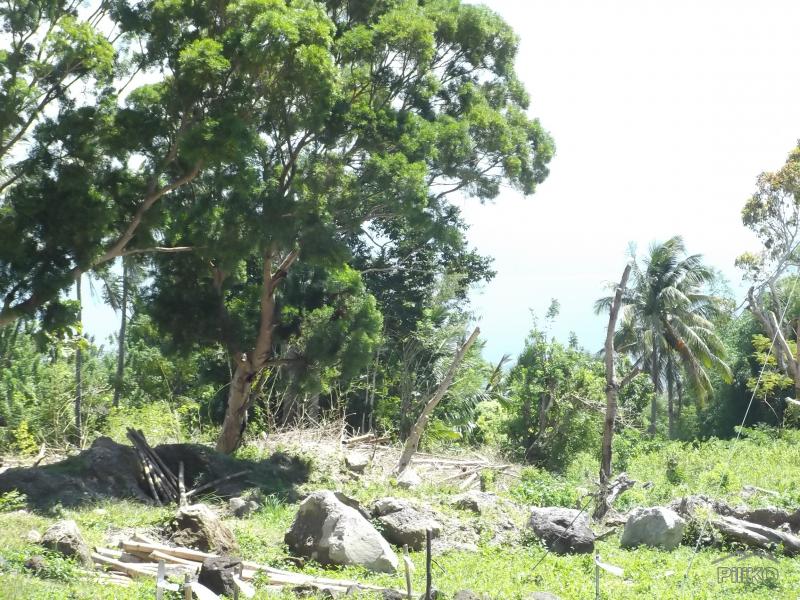 Residential Lot for sale in Dumaguete - image 20