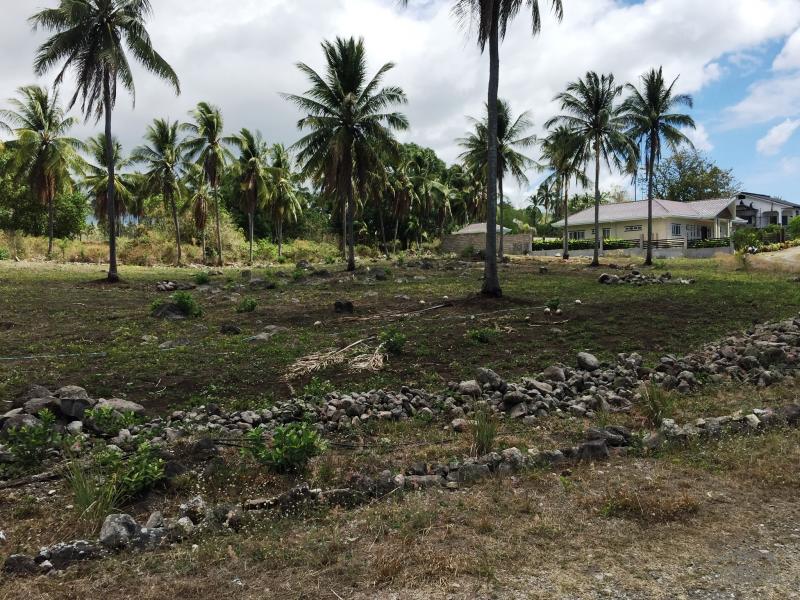 Residential Lot for sale in Dumaguete - image 15