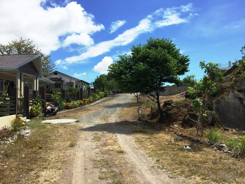 Residential Lot for sale in Dumaguete - image 17