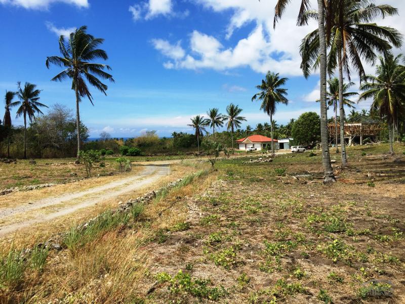 Residential Lot for sale in Dumaguete - image 19
