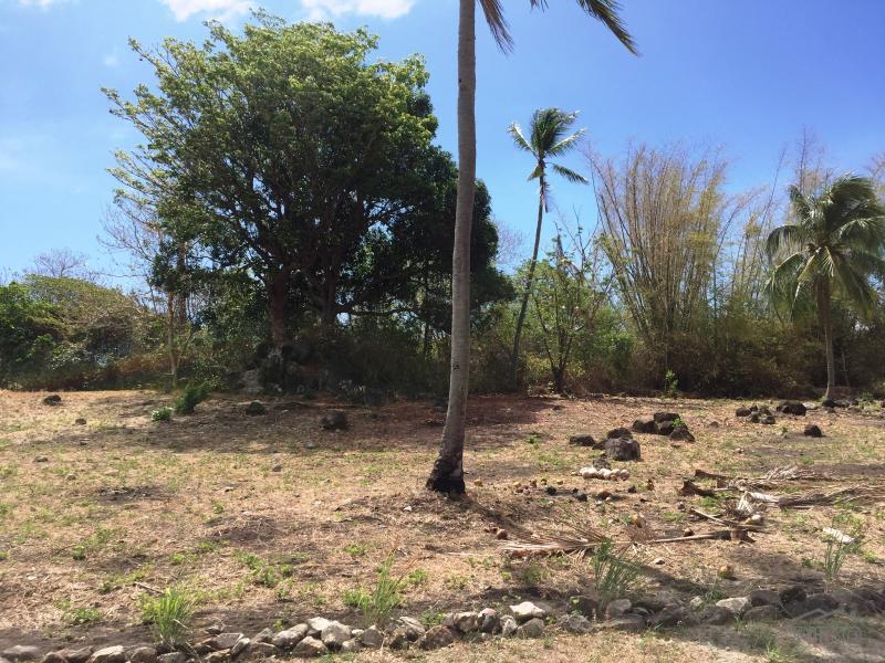 Residential Lot for sale in Dumaguete - image 20