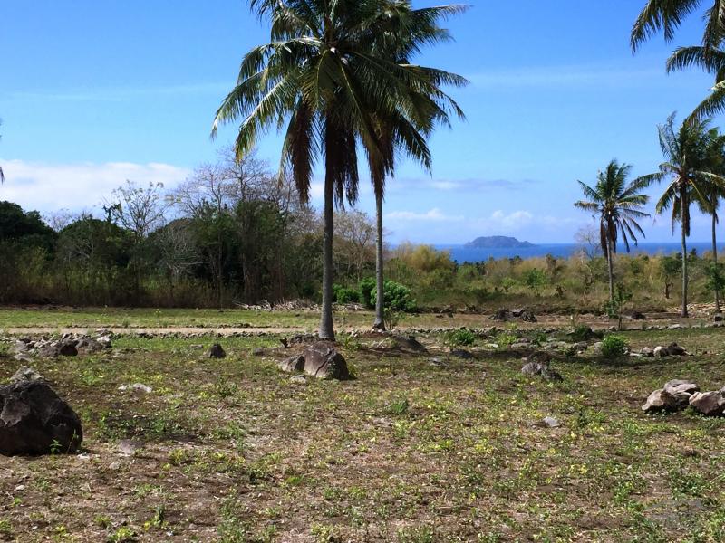 Residential Lot for sale in Dumaguete - image 21