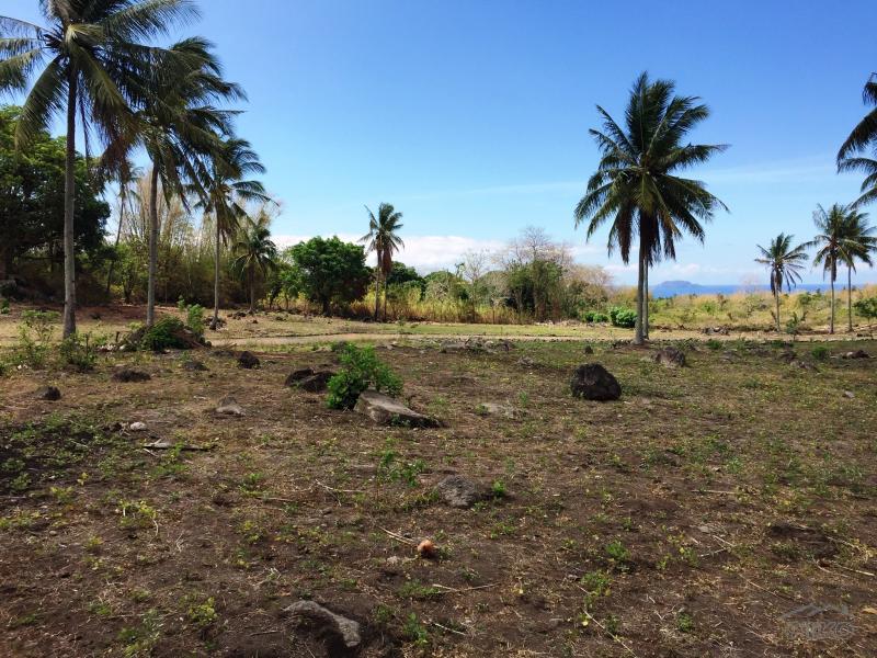Residential Lot for sale in Dumaguete - image 3
