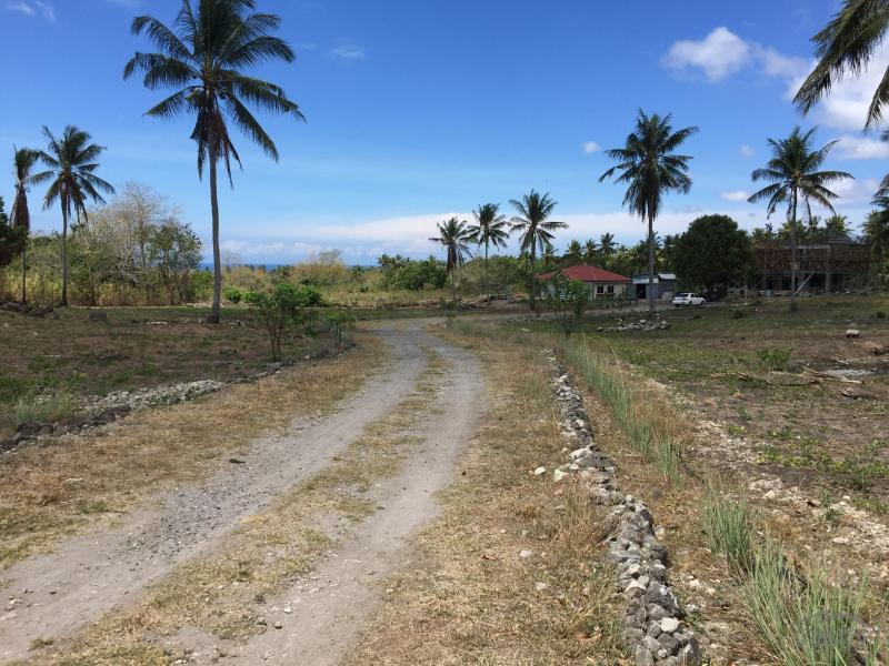 Picture of Residential Lot for sale in Dumaguete in Negros Oriental