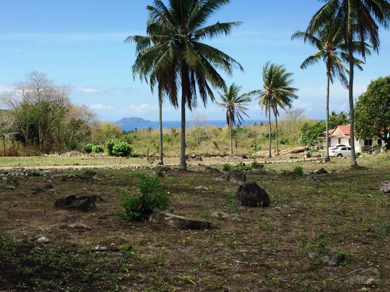 Residential Lot for sale in Dumaguete - image 6