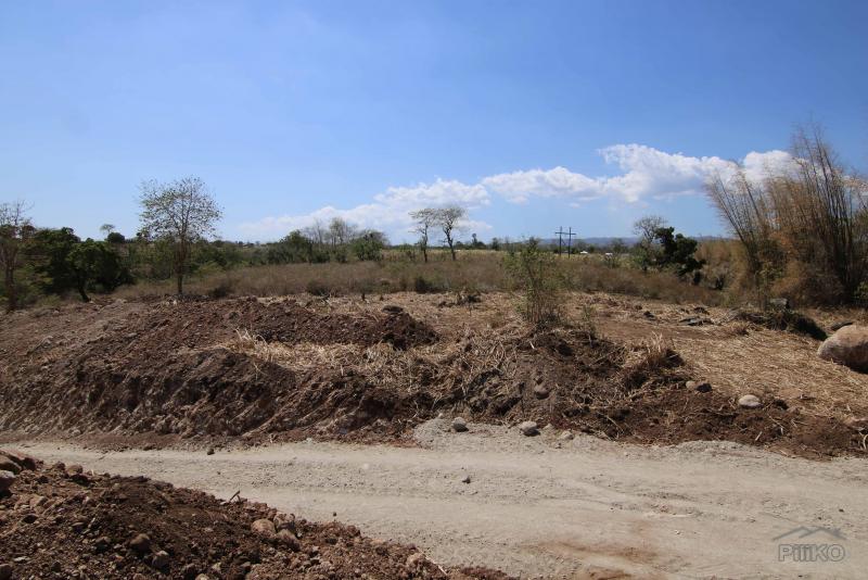 Residential Lot for sale in Dumaguete - image 10