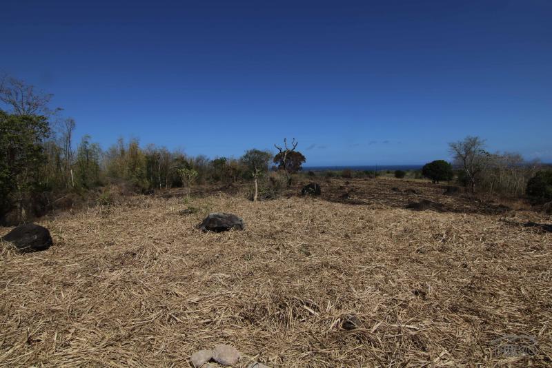 Residential Lot for sale in Dumaguete - image 11