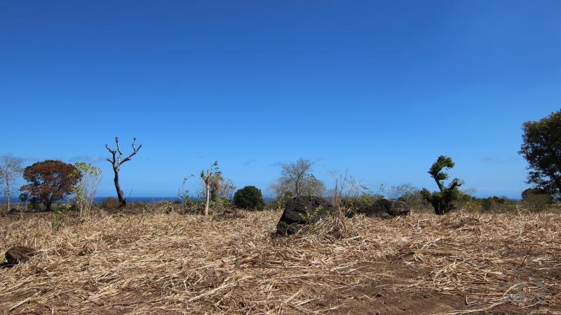 Residential Lot for sale in Dumaguete - image 12