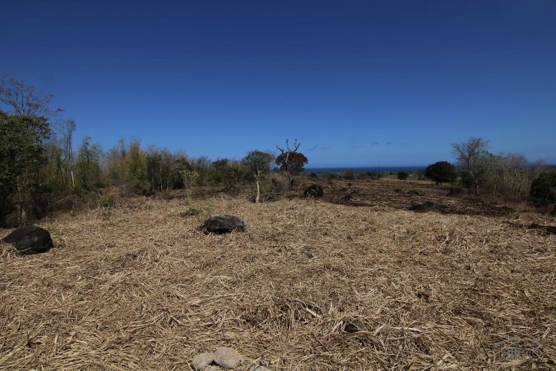 Residential Lot for sale in Dumaguete - image 13