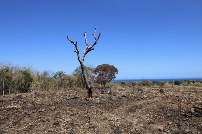 Residential Lot for sale in Dumaguete - image 2