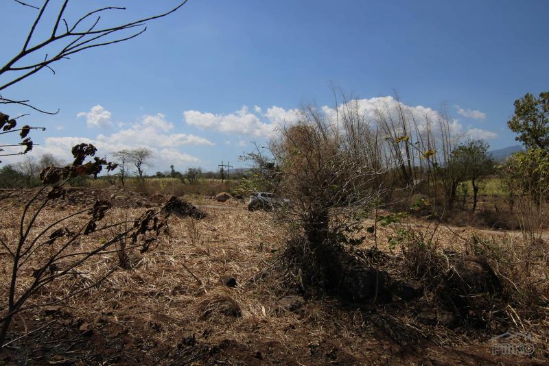 Residential Lot for sale in Dumaguete - image 3