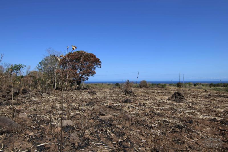 Residential Lot for sale in Dumaguete - image 4