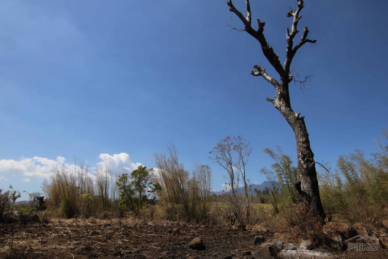 Residential Lot for sale in Dumaguete - image 5