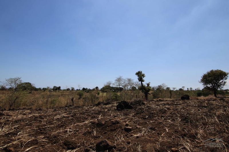 Residential Lot for sale in Dumaguete - image 6