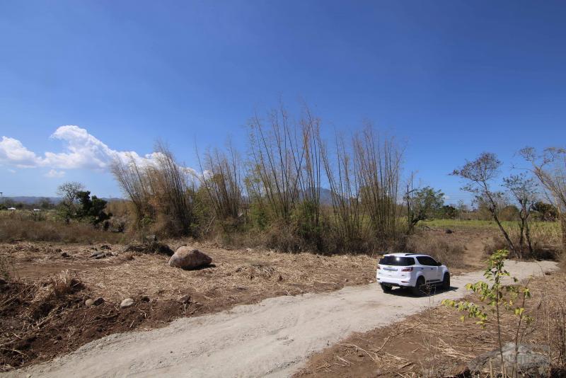 Residential Lot for sale in Dumaguete - image 7